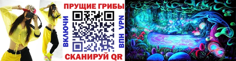 Купить где  Чистополь  Псилоцибиновые грибы Psilocybine cubensis 